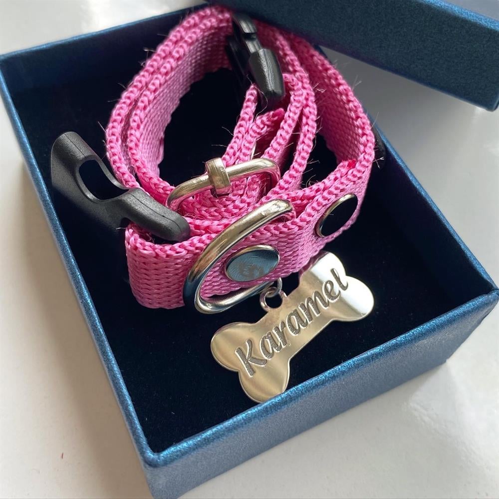 Gümüş Pembe Kemik Köpek Tasması