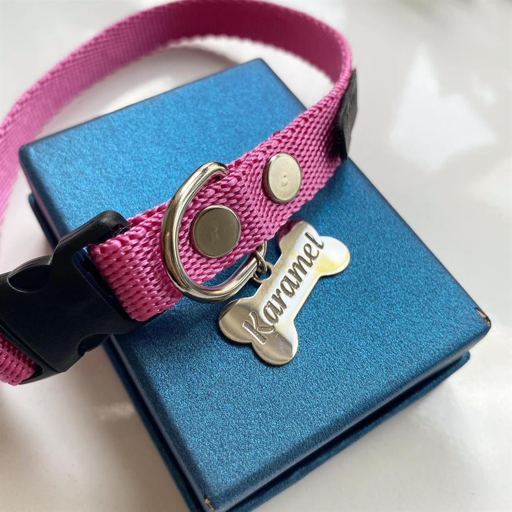 Gümüş Pembe Kemik Köpek Tasması