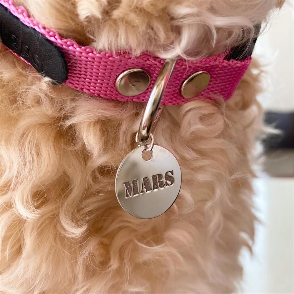 Gümüş Pembe Yuvarlak Köpek Tasması