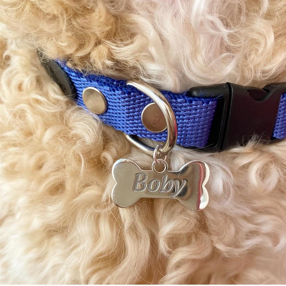 Gümüş Saks Mavi Kemik Köpek Tasması