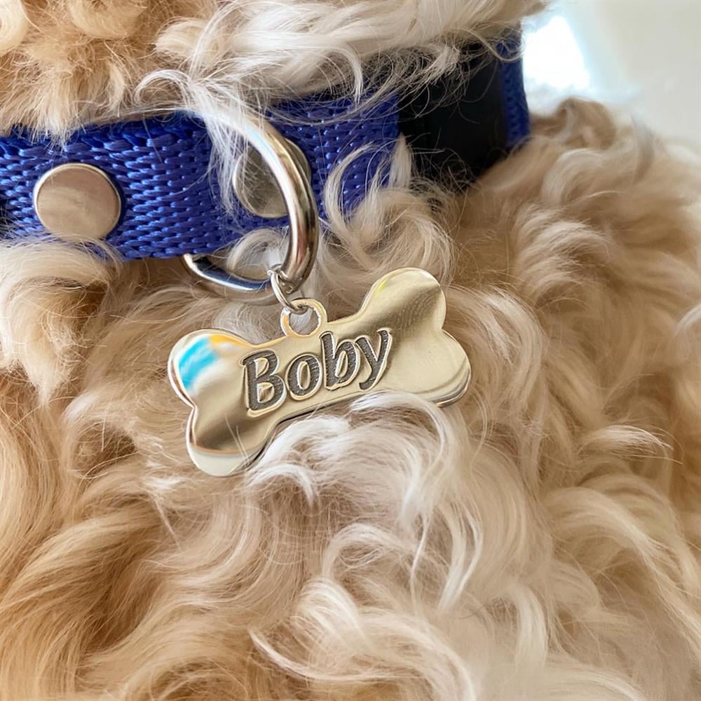 Gümüş Saks Mavi Kemik Köpek Tasması