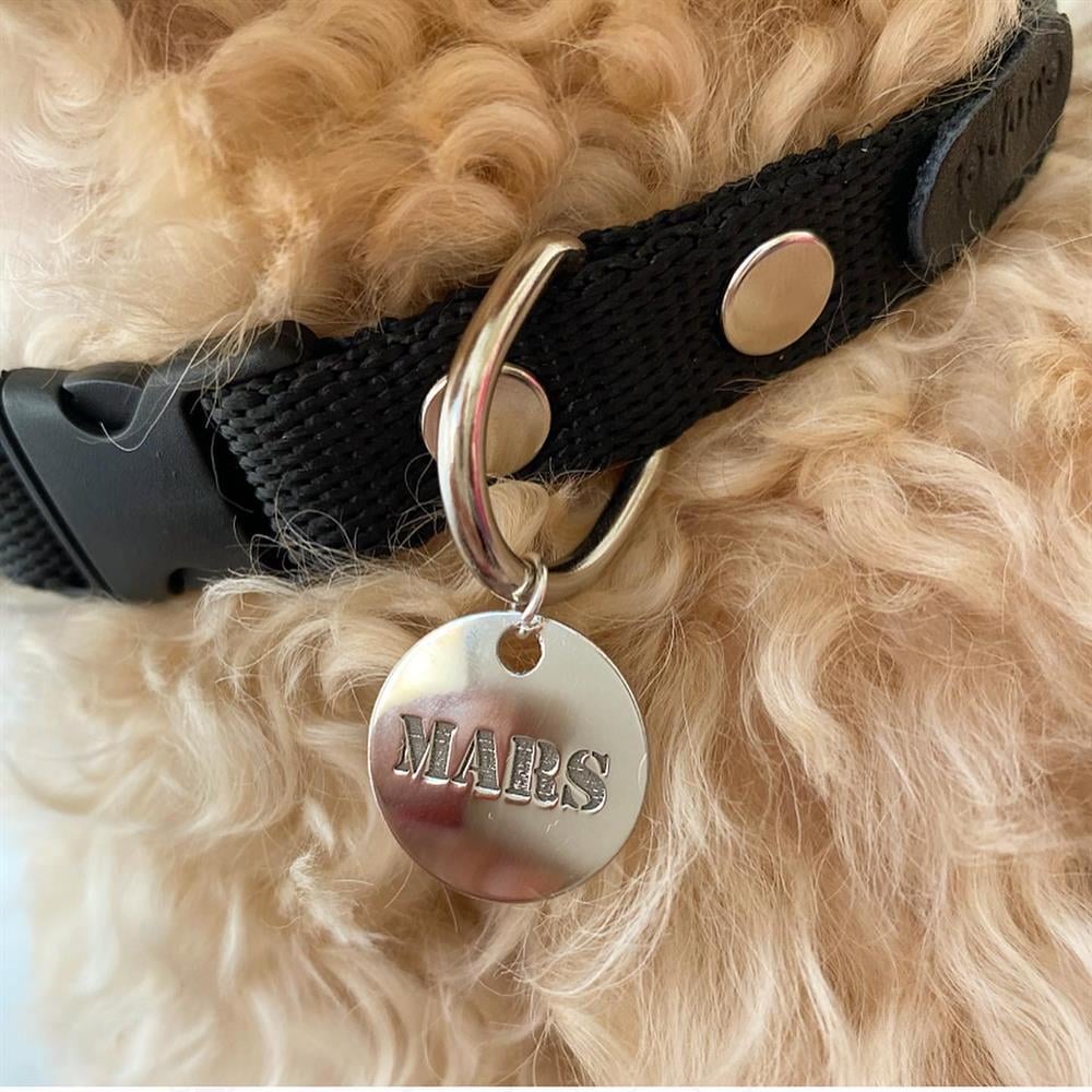 Gümüş Siyah Yuvarlak Köpek Tasması