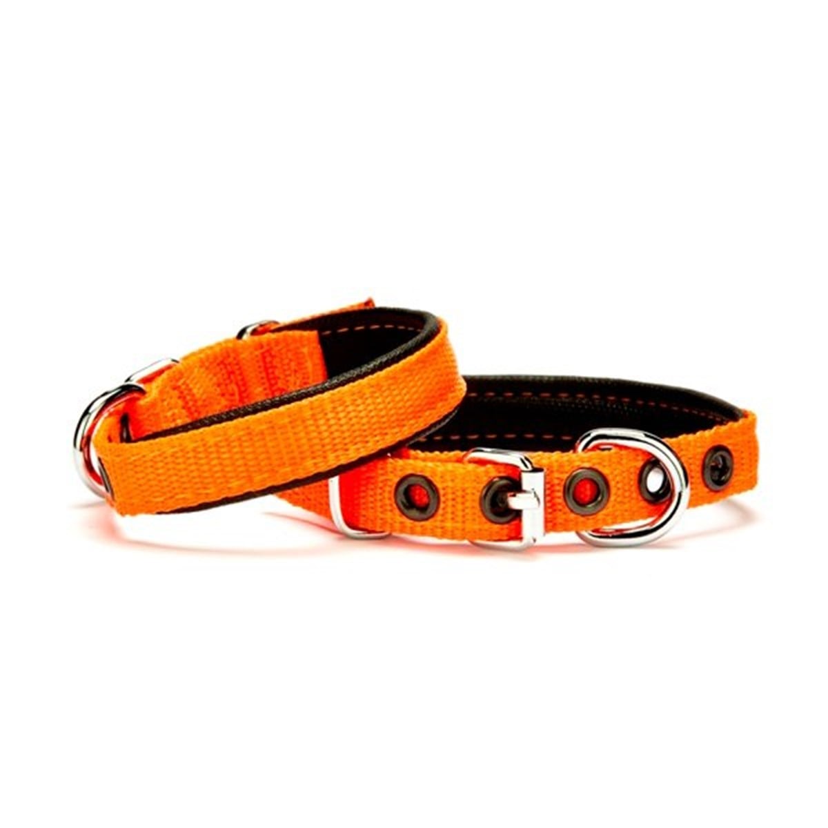 Doggie Comfort Yumuşak Dokuma Köpek Tasması L Turuncu