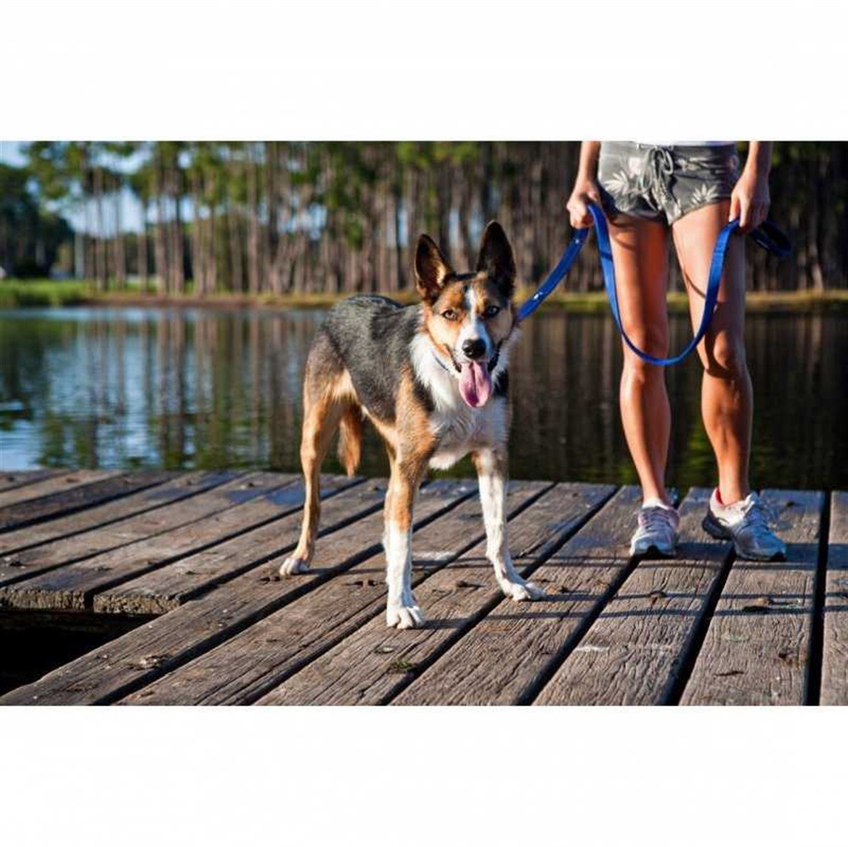 EzyDog Soft Trainer Köpek Gezdirme Kayışı 180 Cm Turuncu