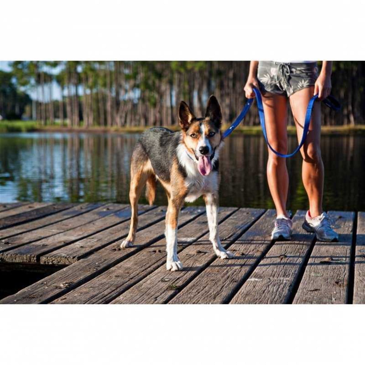 EzyDog Soft Trainer Köpek Gezdirme Kayışı 180 Cm Yeşil