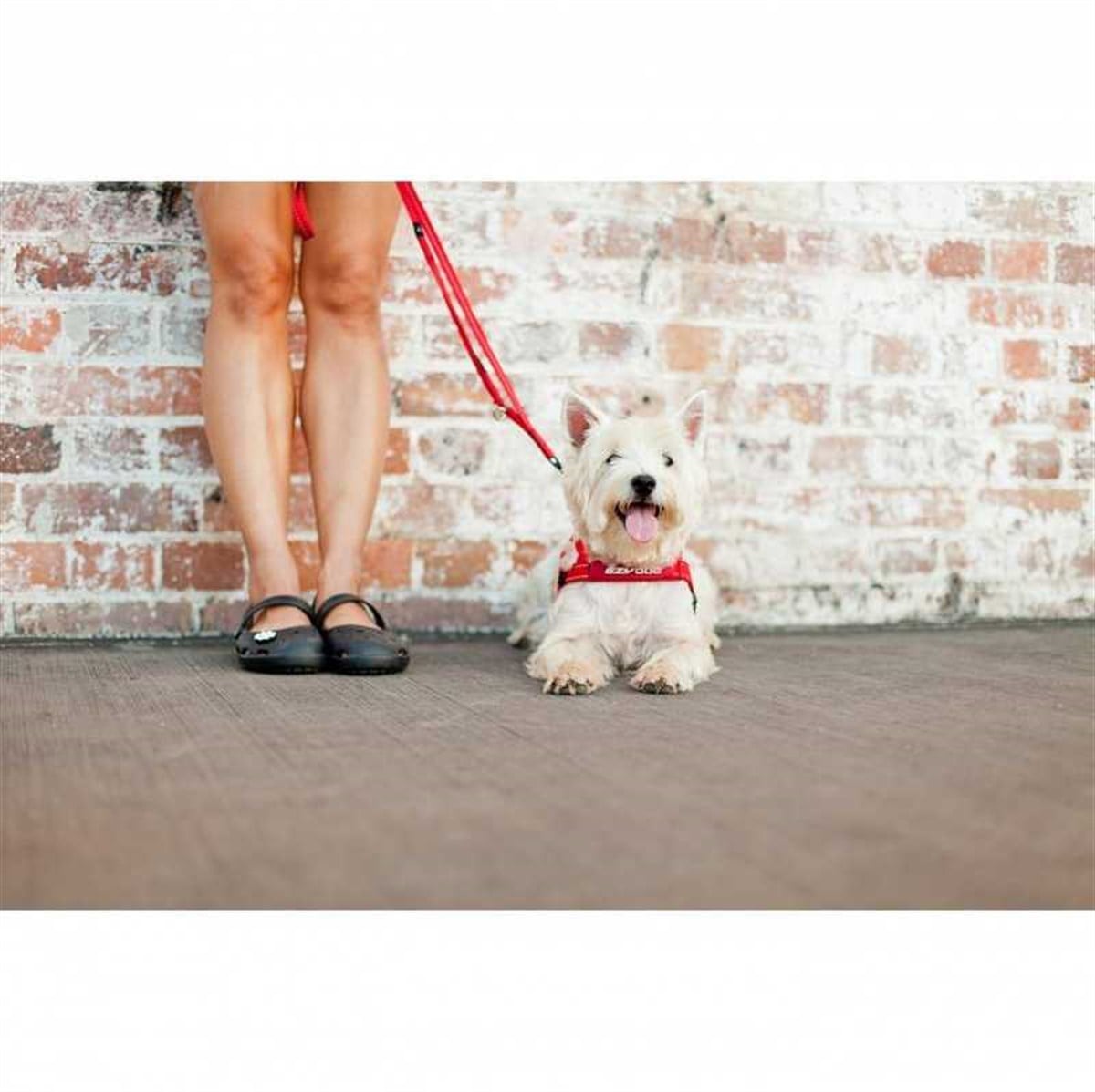 EzyDog Soft Trainer Lite Köpek Gezdirme Kayışı 180 Cm Pembe