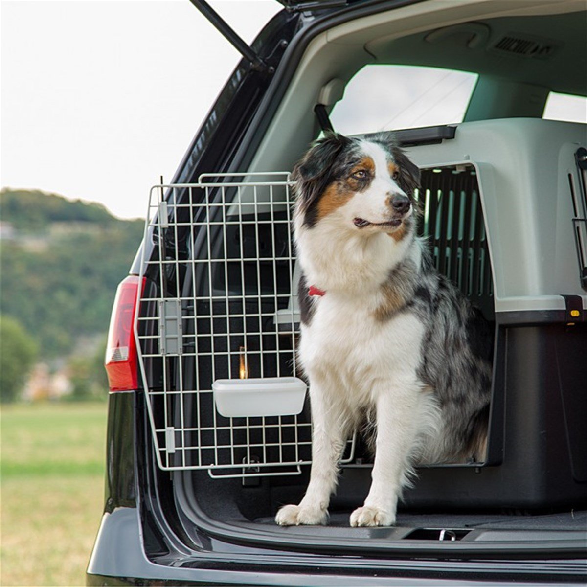 Ferplast Atlas 60,Köpek Taşıma Sepeti 91 x 61 x 66,5 Cm
