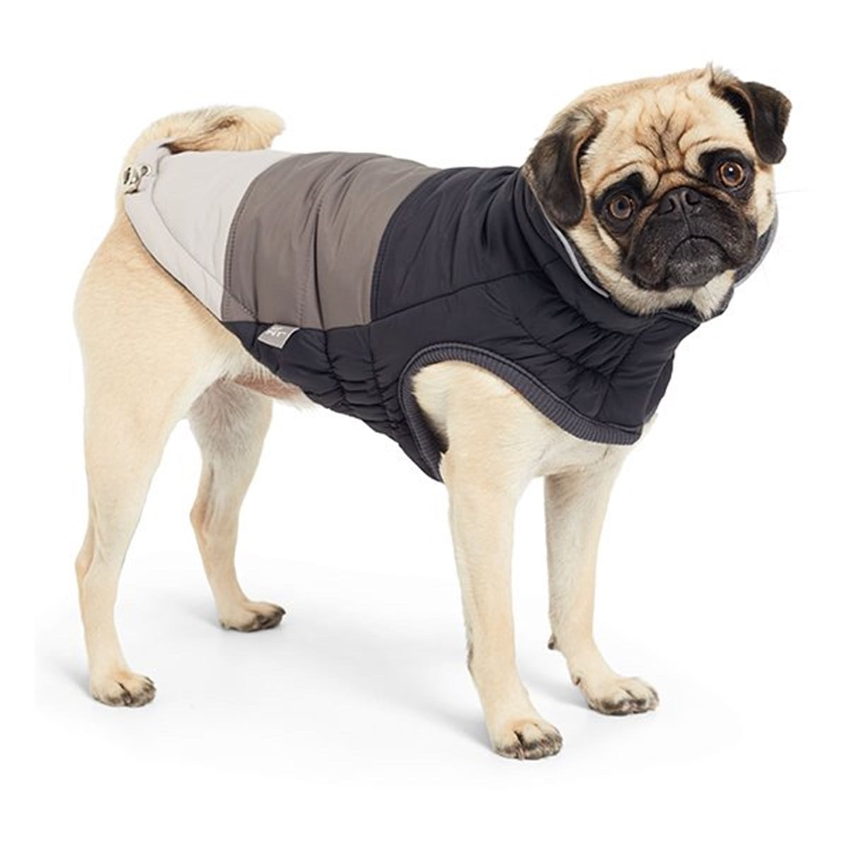 GF PET - Kalın Köpek Montu Siyah Medium