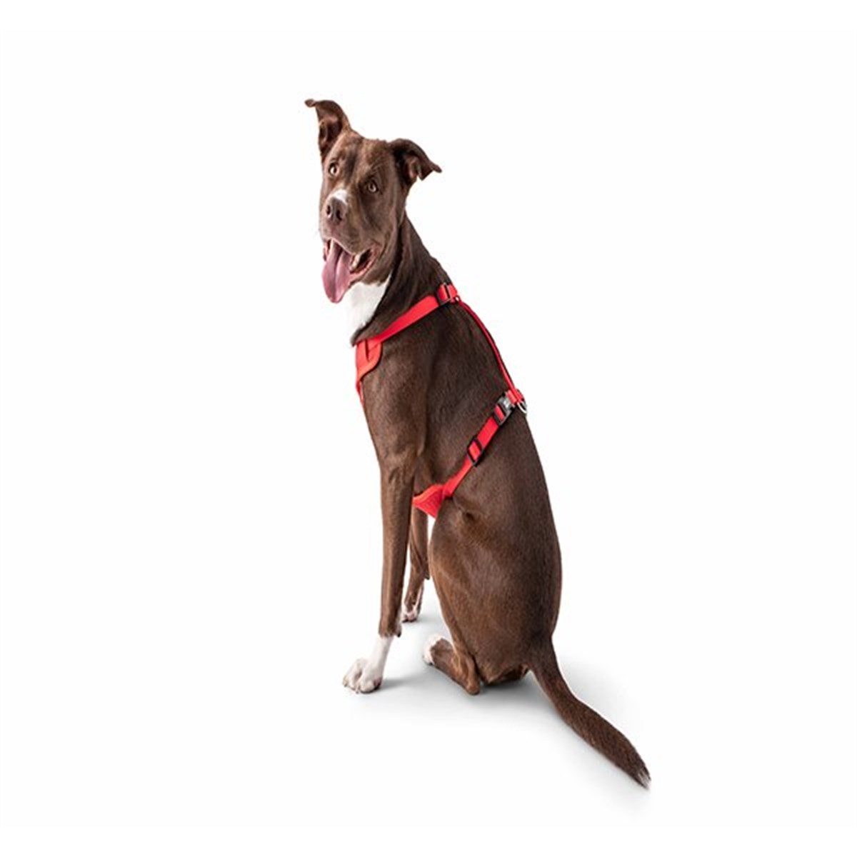 GF PET - Travel Köpek Göğüs Tasması 2XS