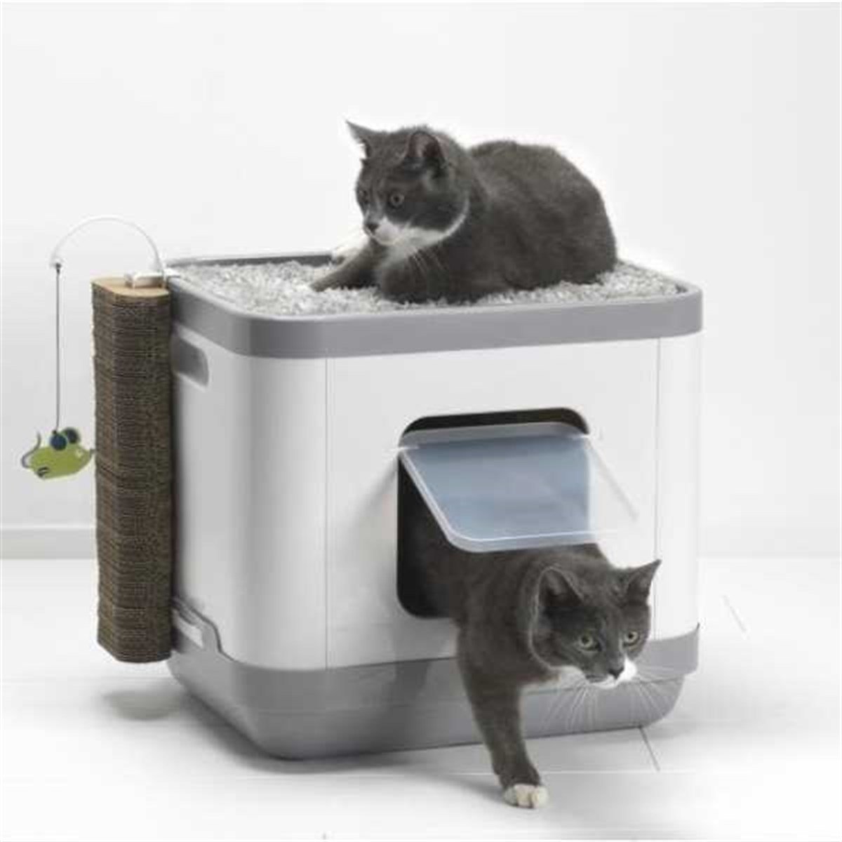 Moderna Cat Catconcept Kedi Tuvaleti