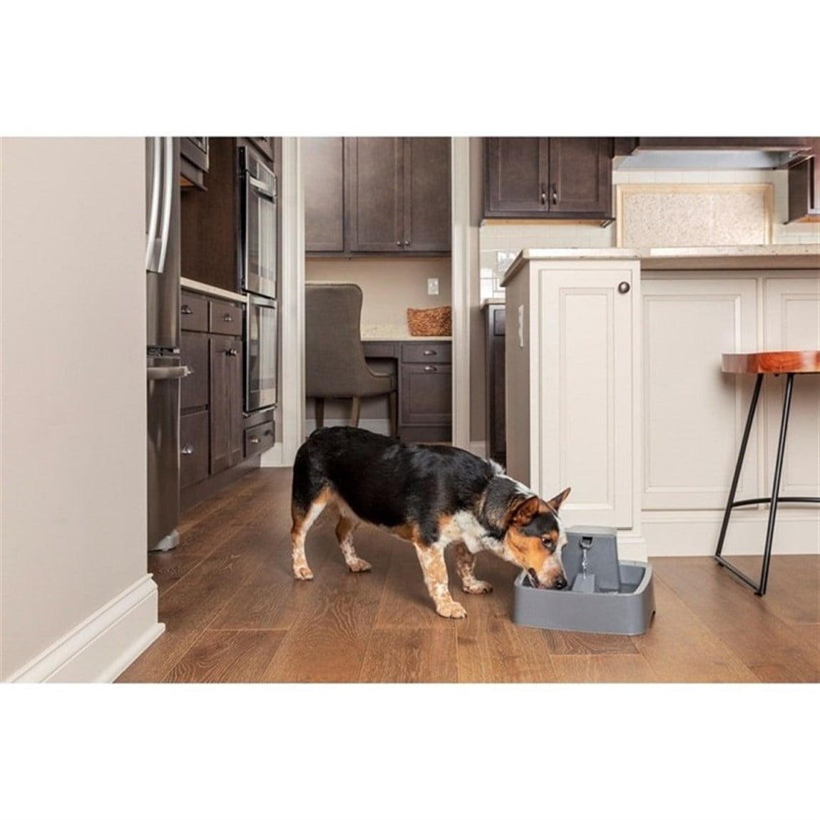 PetSafe Drinkwell 1,8 Lt Küçük Su Pınarı