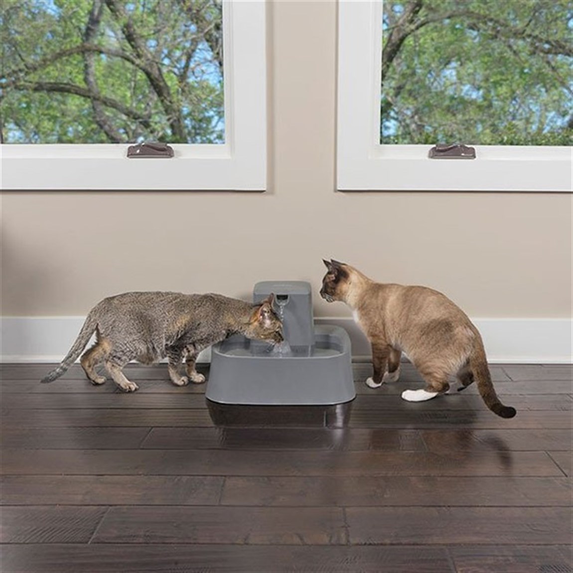 PetSafe Drinkwell 1,8 Lt Küçük Su Pınarı