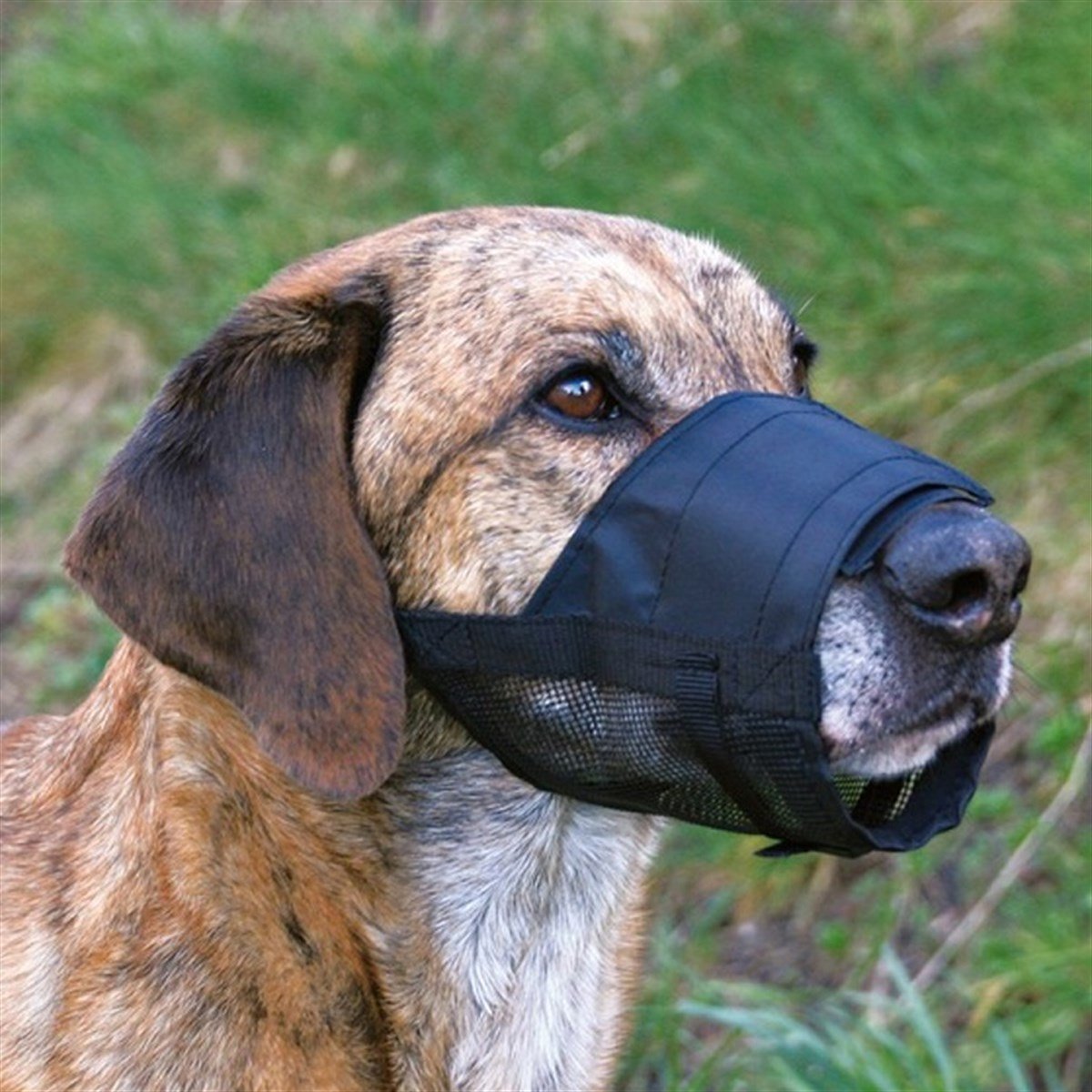 Trixie Fileli Köpek Ağızlığı Small Medium 14-22 Cm