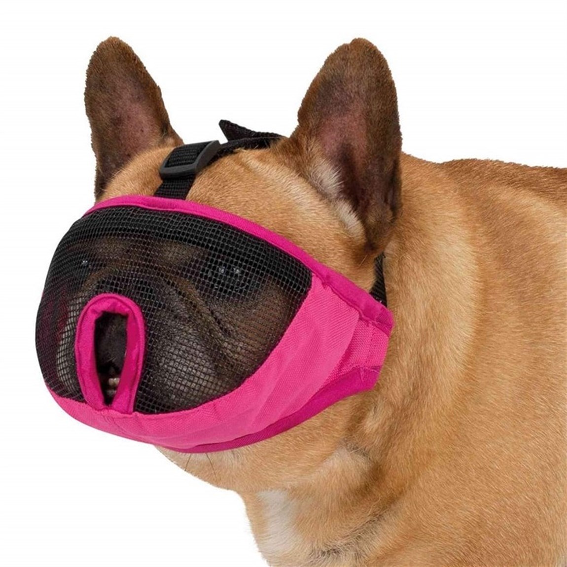 Trixie Kısa Burun Köpek Ağızlığı, S 20Cm Pembe