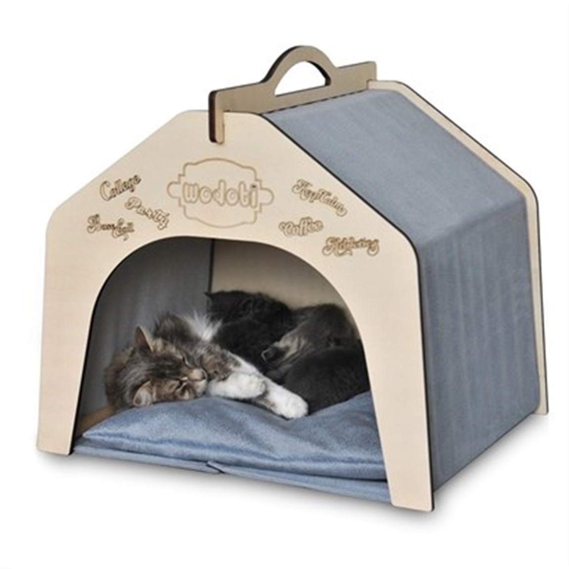 Wodoti Kedi Ve Küçük Köpek Klübesi