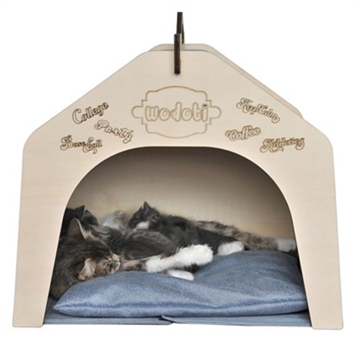 Wodoti Kedi Ve Küçük Köpek Klübesi