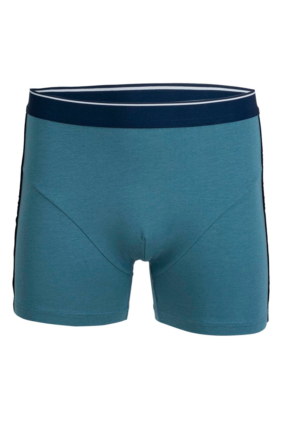 Bsm Erkek Modal Boxer 44503 - Petrol