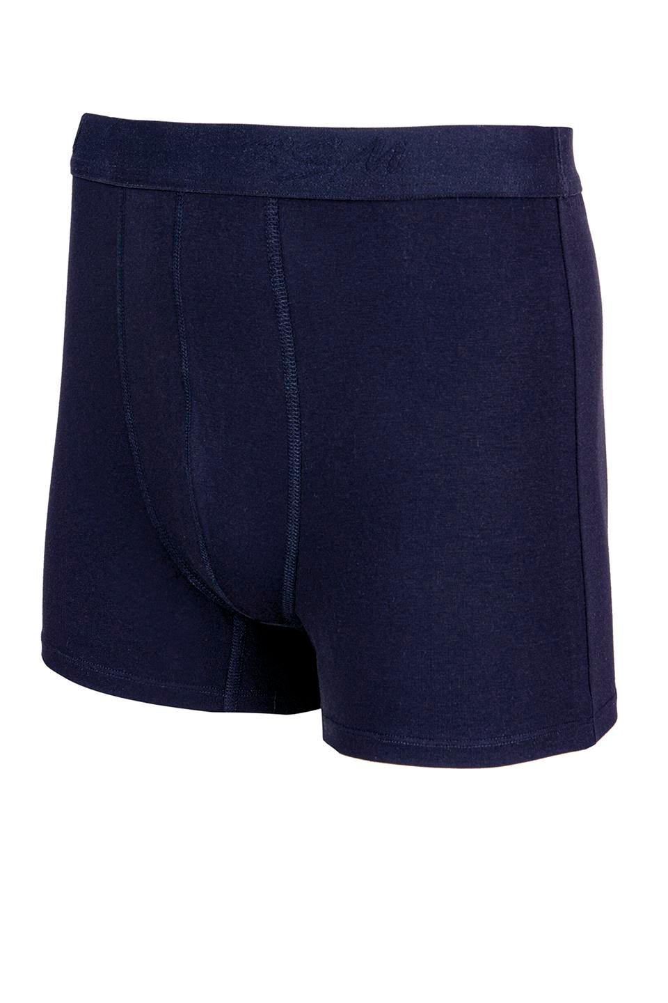 Bsm Modal Erkek Dıştan Lastikli Boxer 43603 - Lacivert