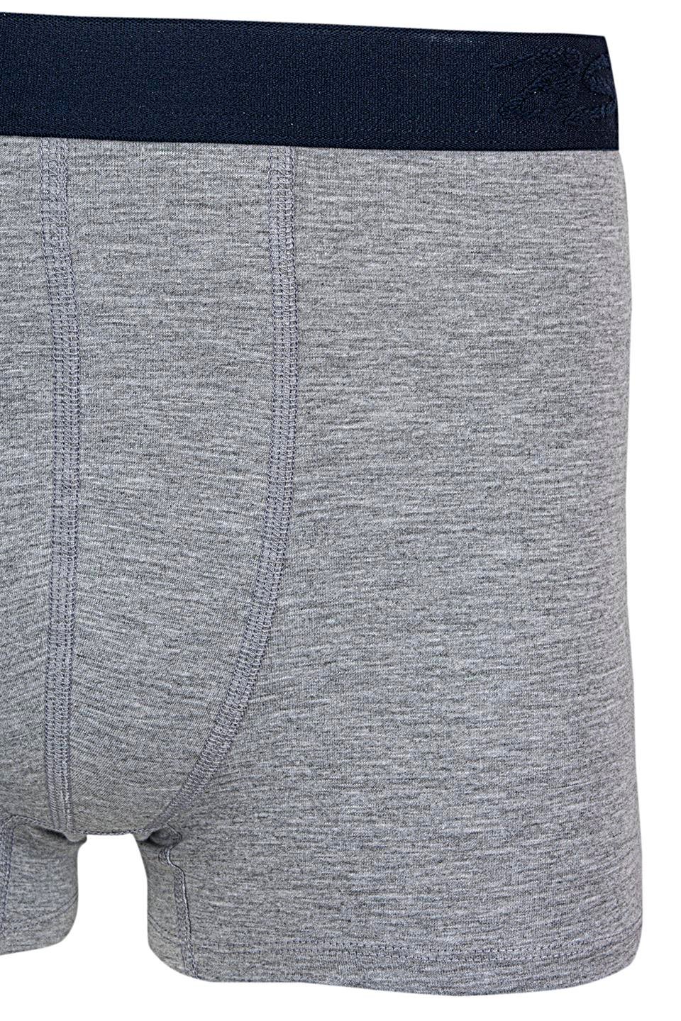 Bsm Modal Erkek Dıştan Lastikli Boxer 43603 - Gri