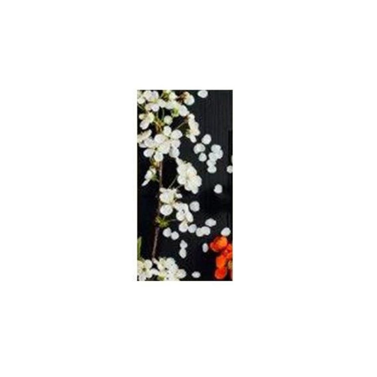 Belirsiz - Cam İşleme Tablo