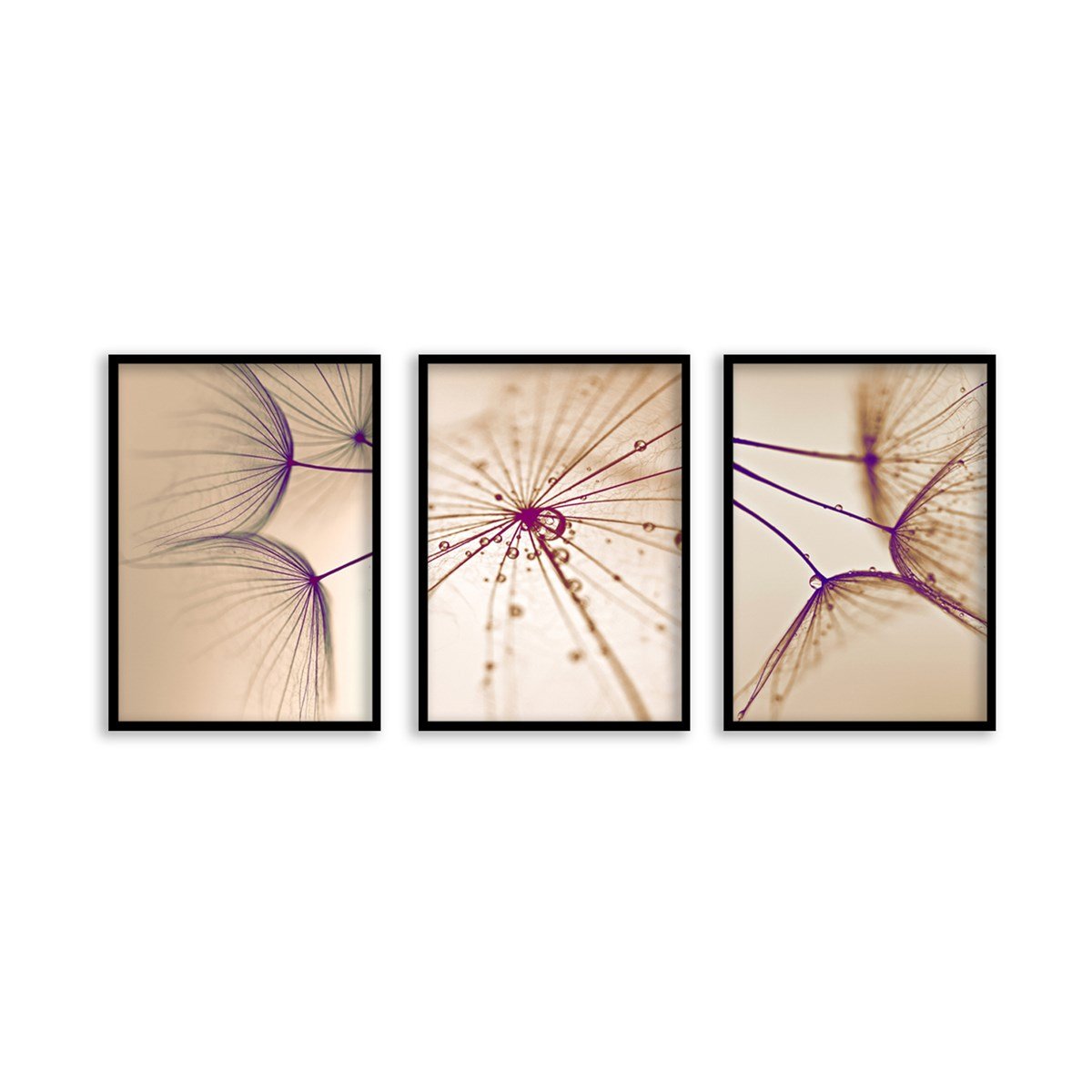 Cream Çerçeveli Poster SetiPosterlerTablolife.com