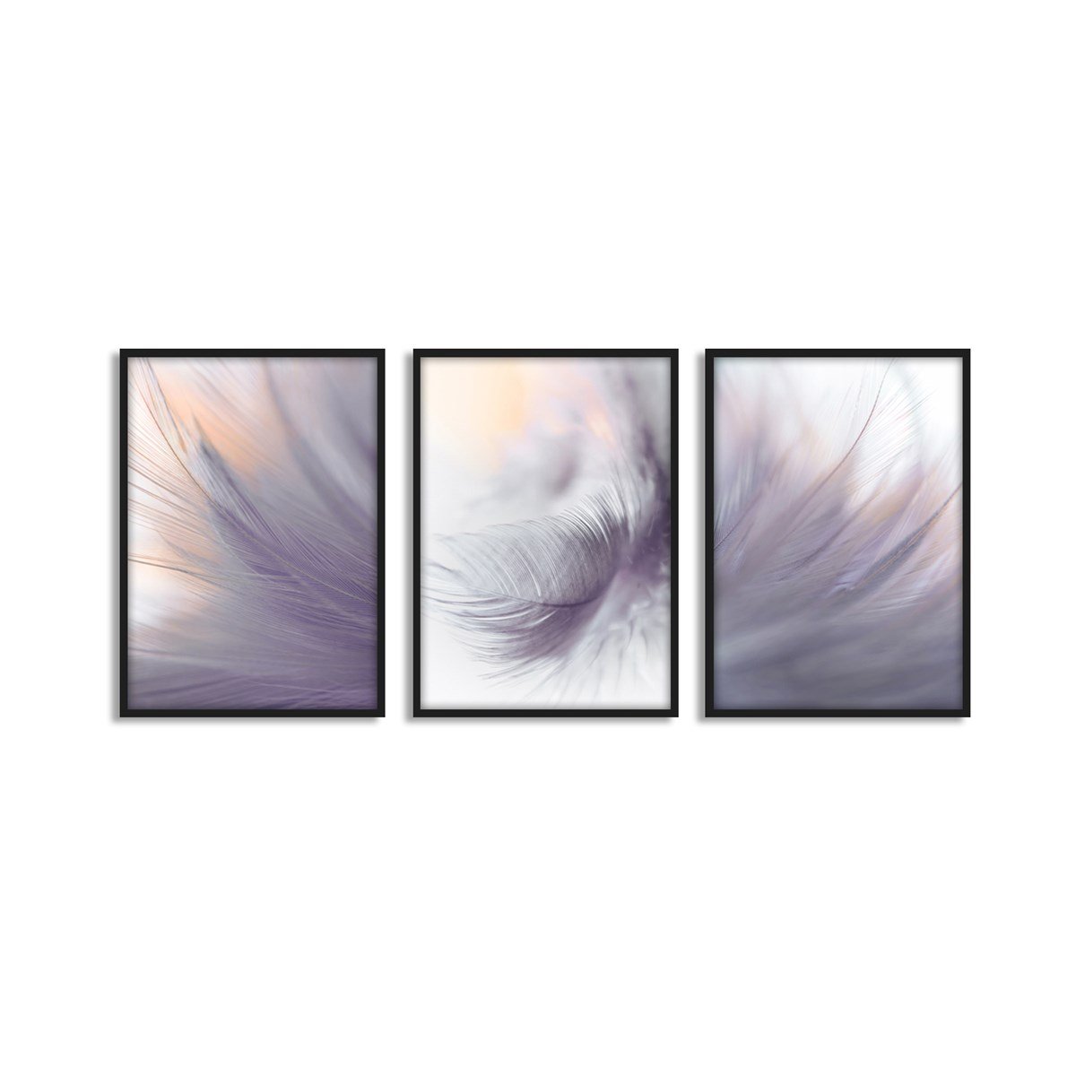 Feather Çerçeveli Poster SetiPosterlerTablolife.com