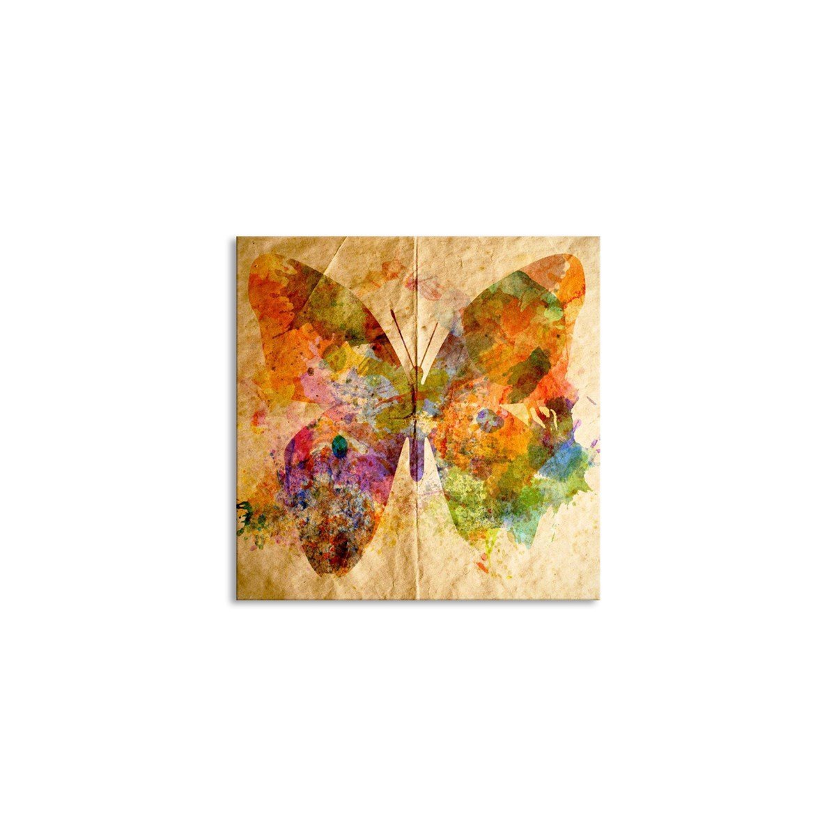 Kelebeğin Rüyası Kanvas TabloHayvanTablolife.com