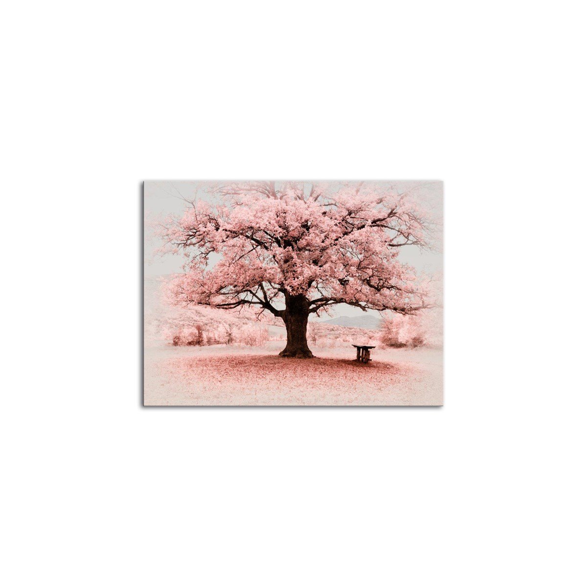 Pembe Dünya Kanvas TabloManzaraTablolife.com