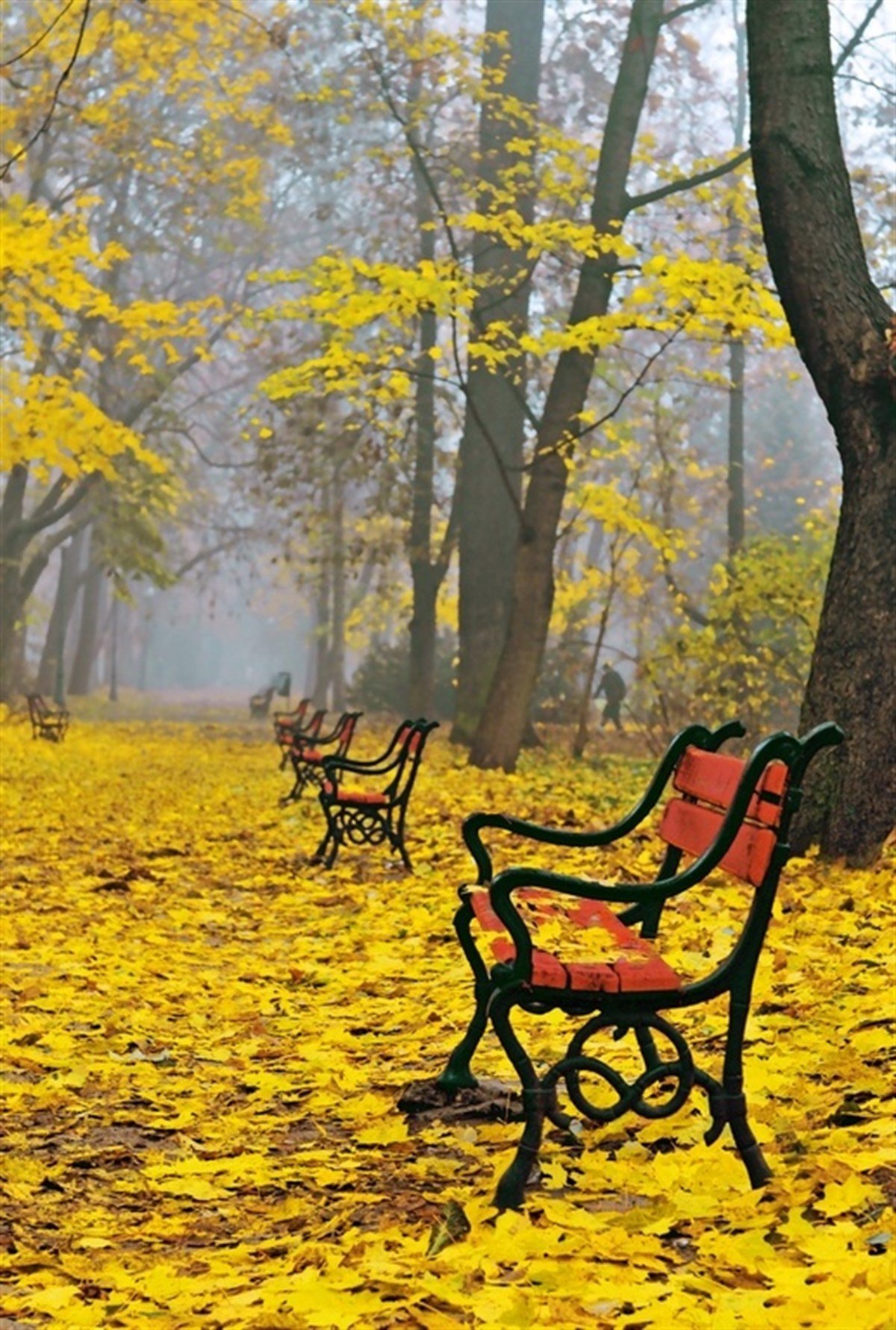 Sarı Yapraklar, Boş Banklar - Kanvas Tablo