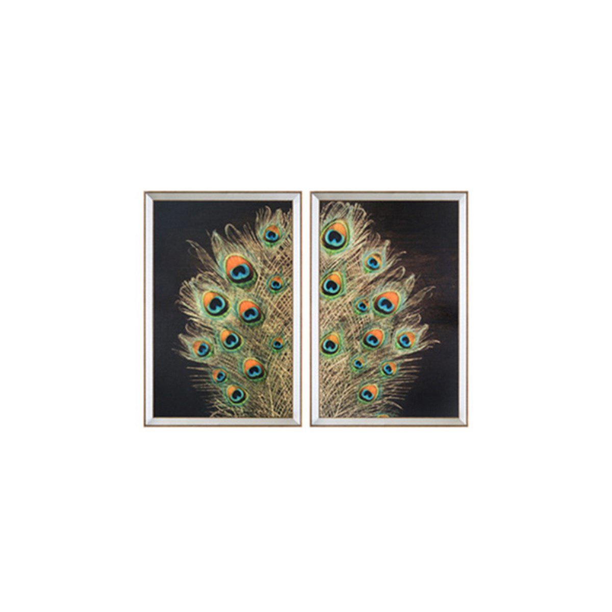 Tavus Kuşu - Cam Üzeri İşleme 2'li Set Tablo