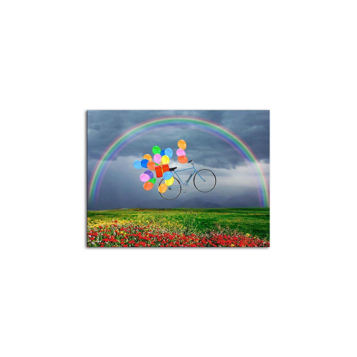 Uçan Bisiklet Kanvas TabloAraçTablolife.com