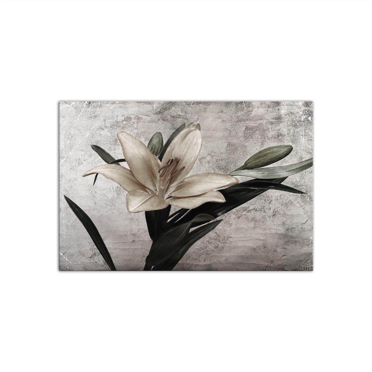 Zambak - Büyük Boy Kanvas TabloBüyük Boy Kanvas TablolarTablolife.com