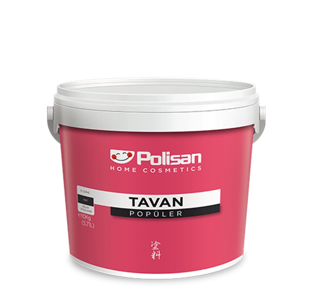POLİSAN POPÜLER TAVAN 17,5 KG