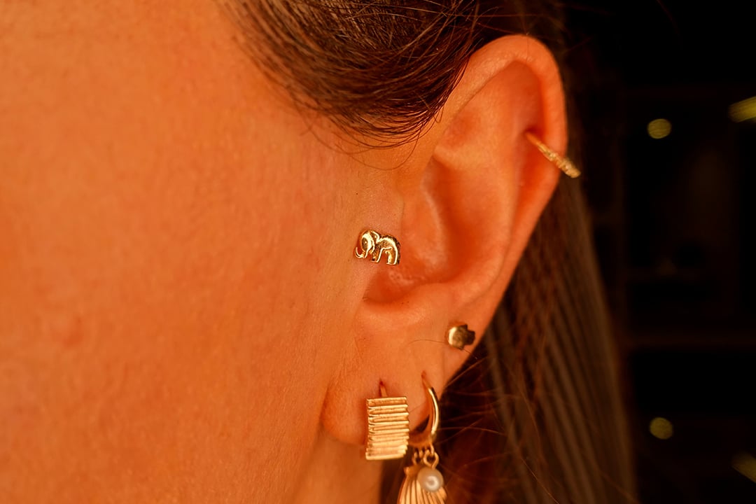 Fil Tragus