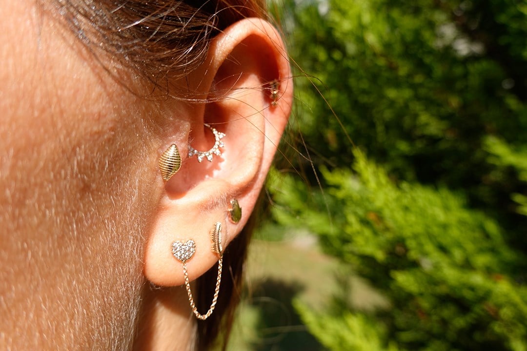 İstridye Tragus