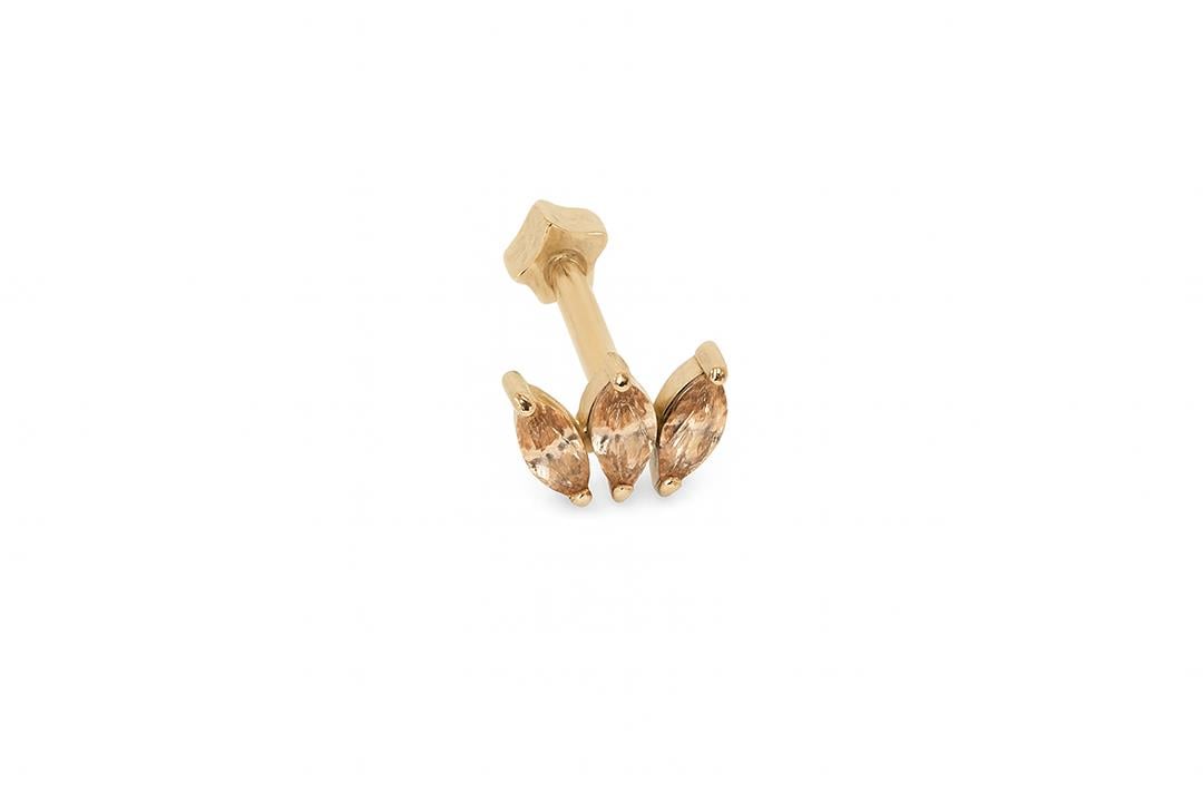 Markiz Tragus