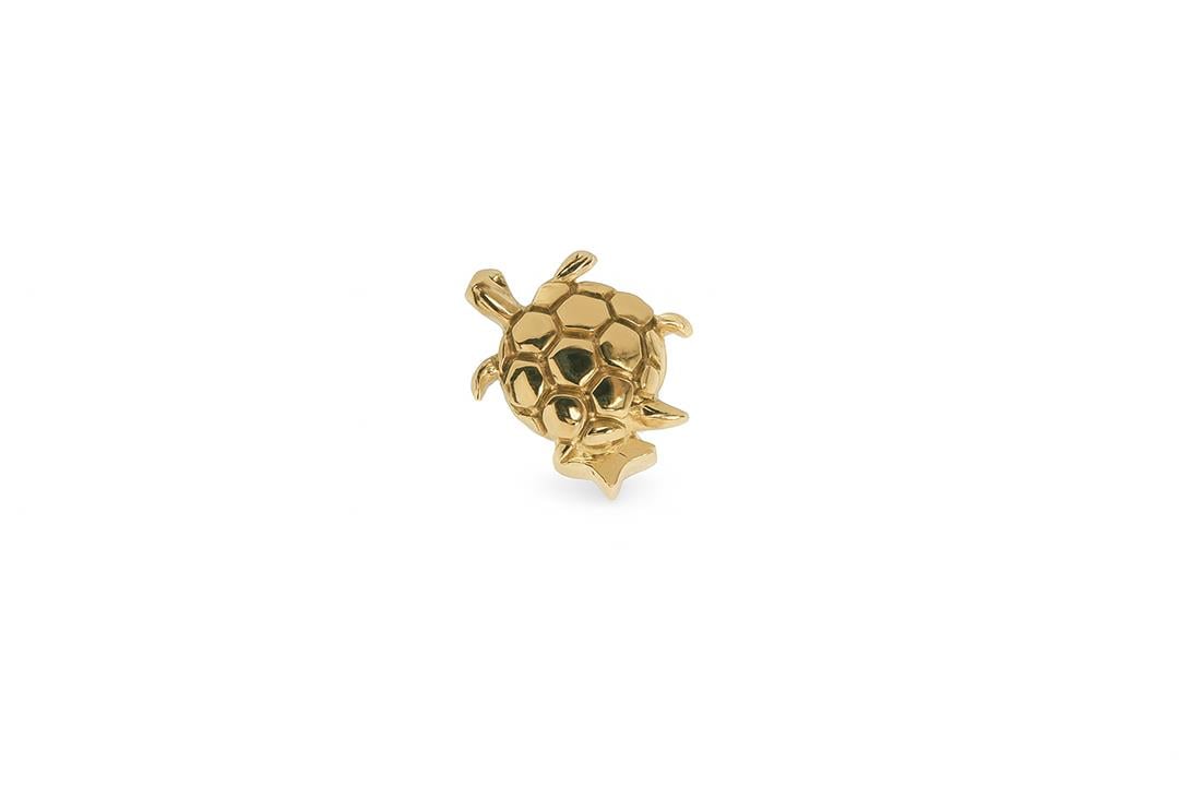 Tortuga Tragus