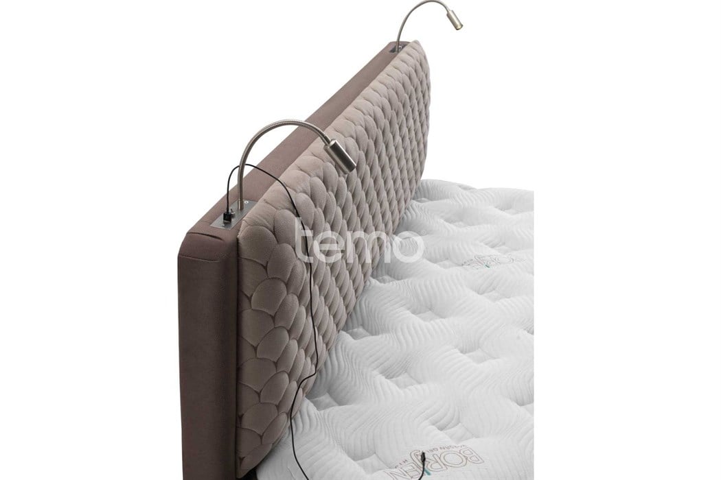 Bambi Borjen Başlık