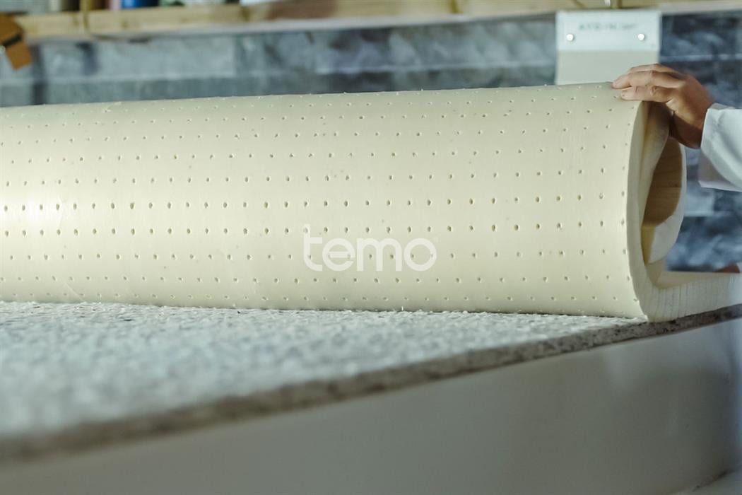 Bambi Latex Master Set