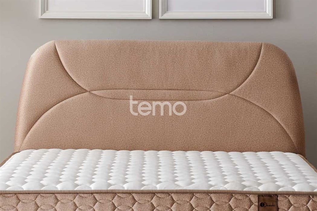 Bambi Oviedo Başlık