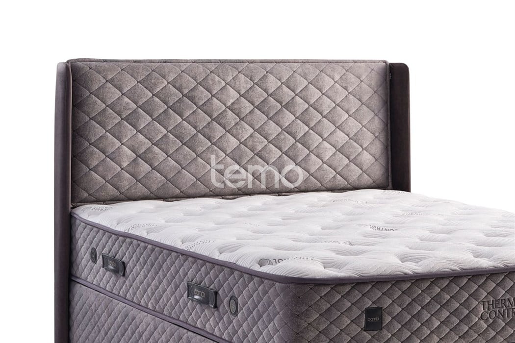 Bambi Thermo Control Başlık