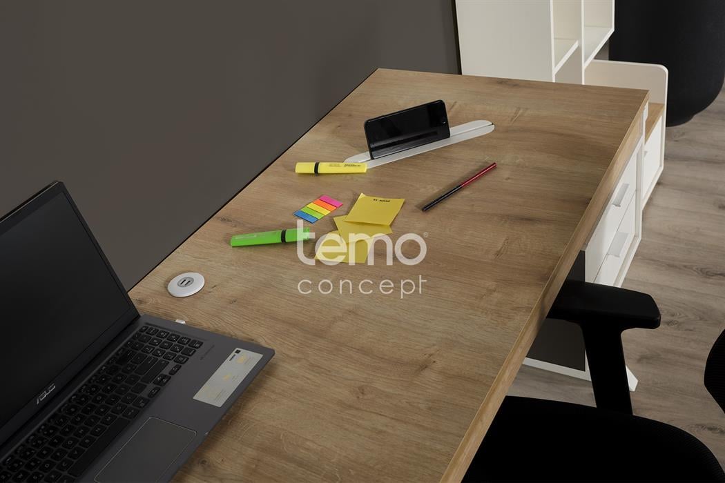 Halikarnas Çalışma Masası