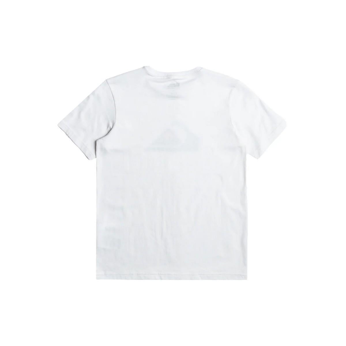 Quiksilver EQBZT04369 Comp Logo Ss Yth Erkek Çocuk Tişört