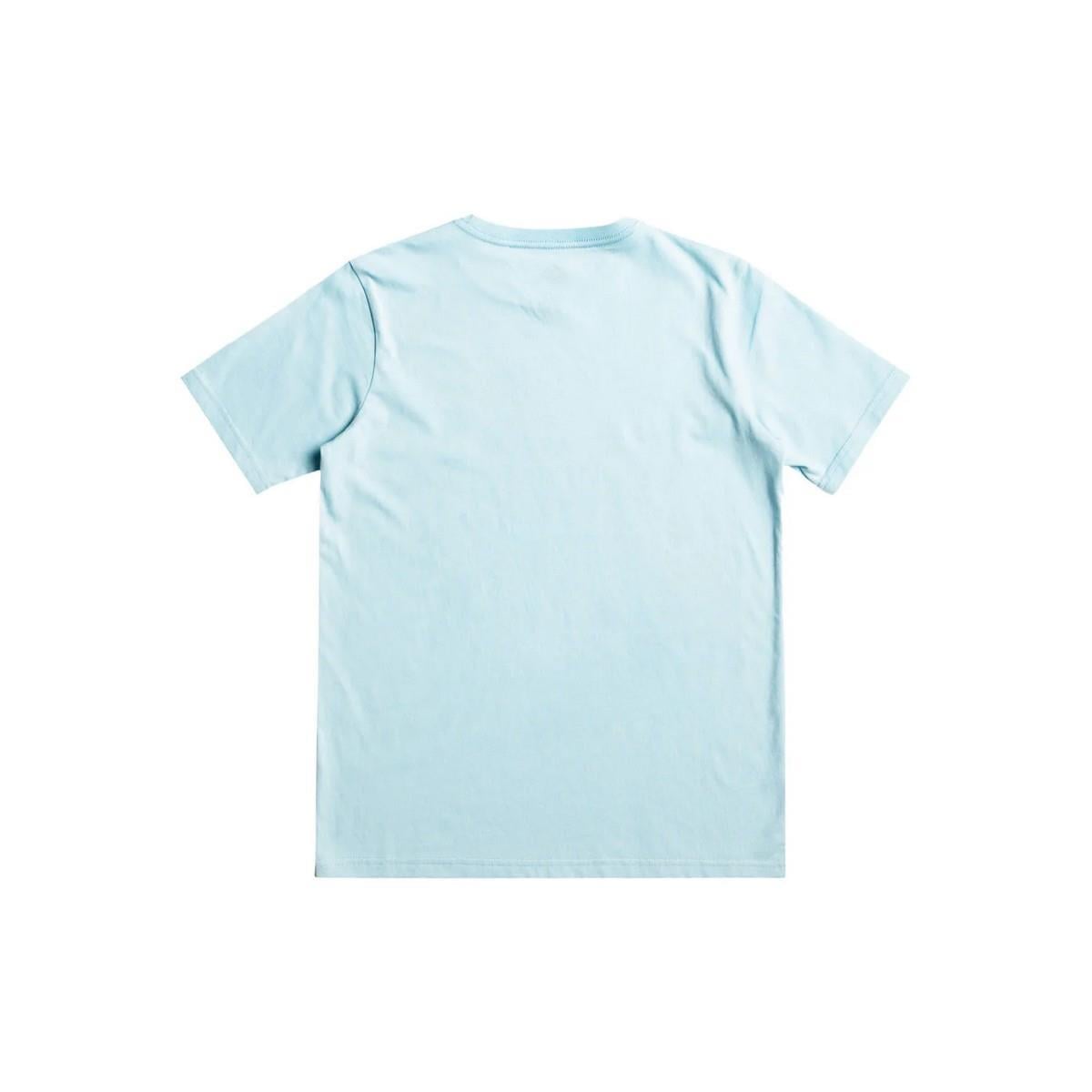 Quiksilver EQBZT04585 Qs Surf Lockup Ss Yth Erkek Çocuk Tişört