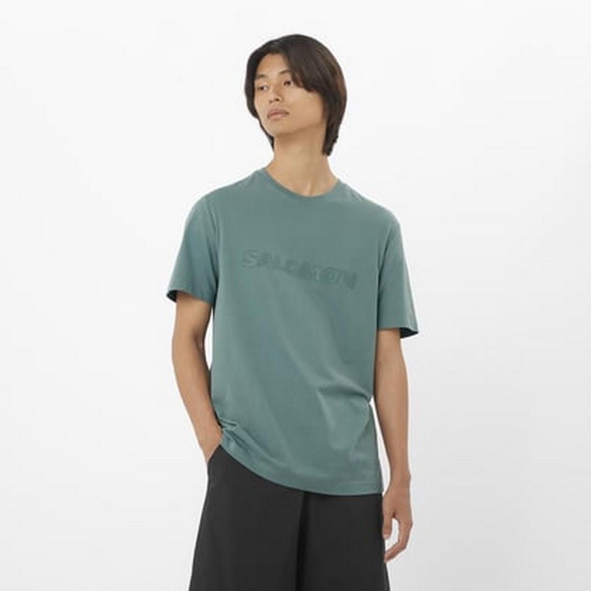 Salomon LC2526700 Big Logo Tee M Erkek Spor Tişört