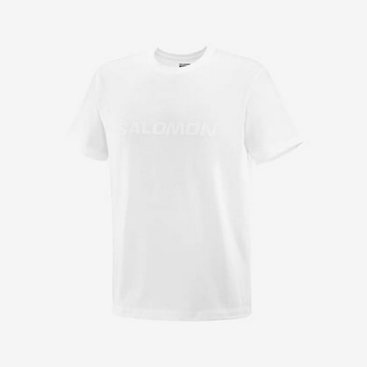 Salomon LC2527000 Big Logo Tee M Erkek Spor Tişört