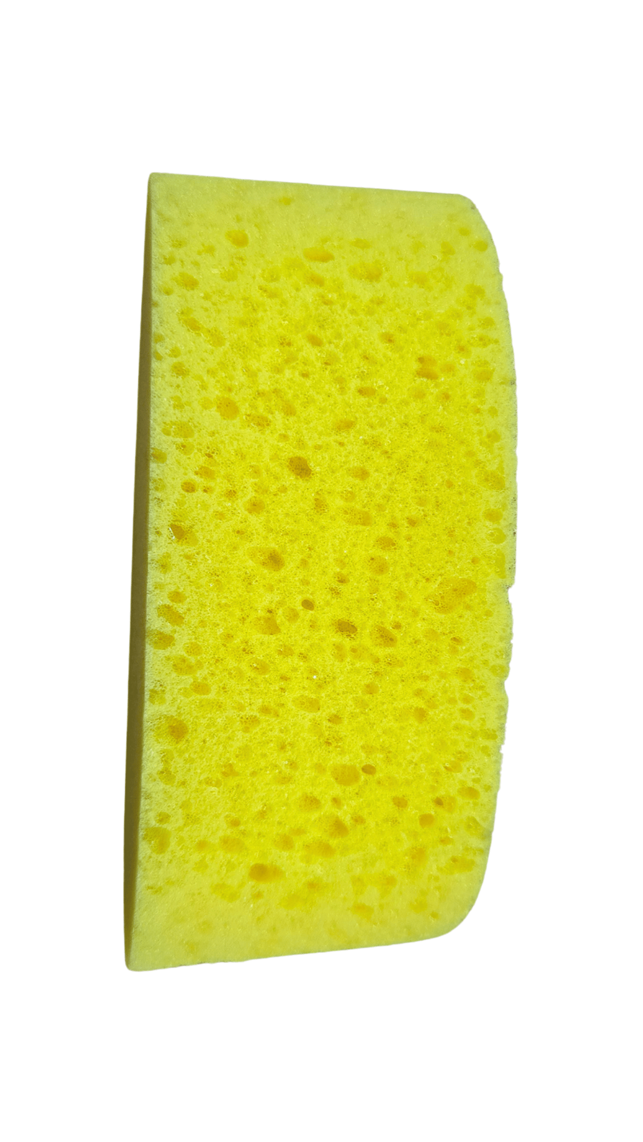Seramik Rötüş Süngeri RHY OVAL
