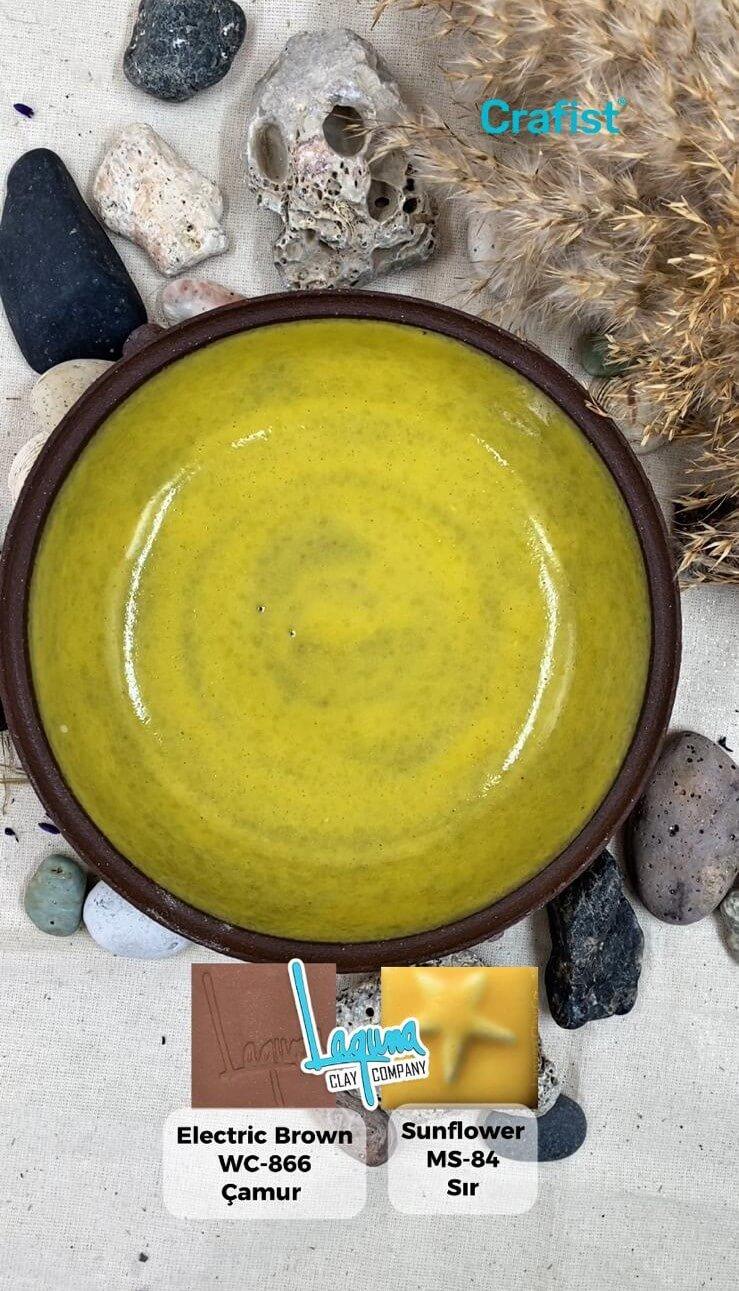 Sunflower Sır MS-84