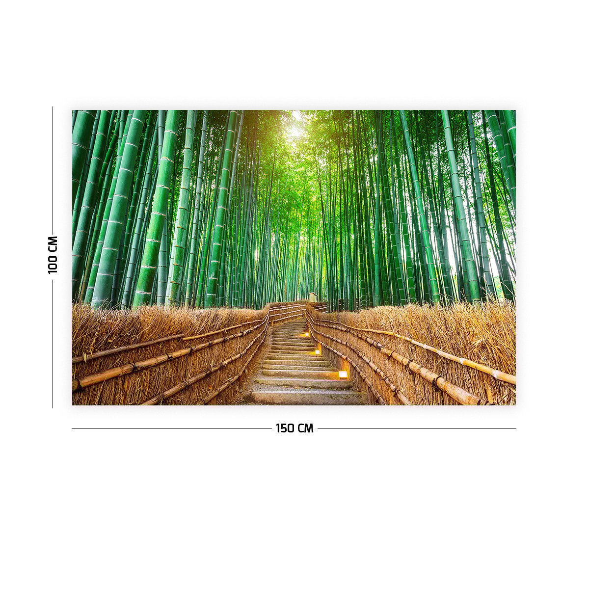 Bambu Ağaçları Duvar Örtüsü