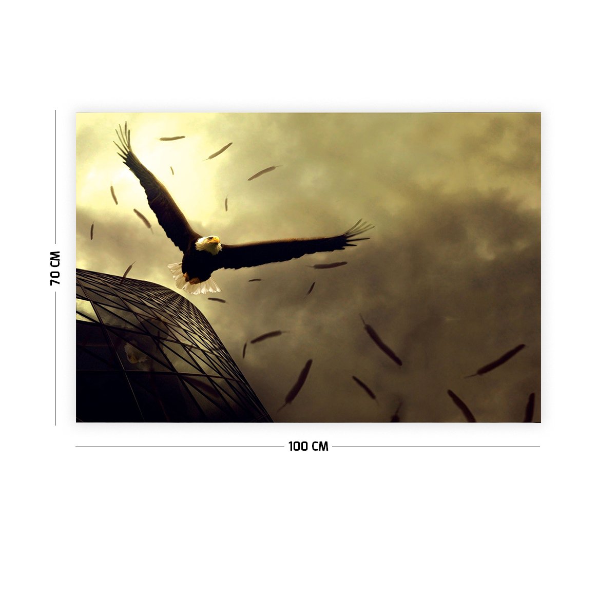 Gökyüzü ve Kartal Duvar Örtüsü